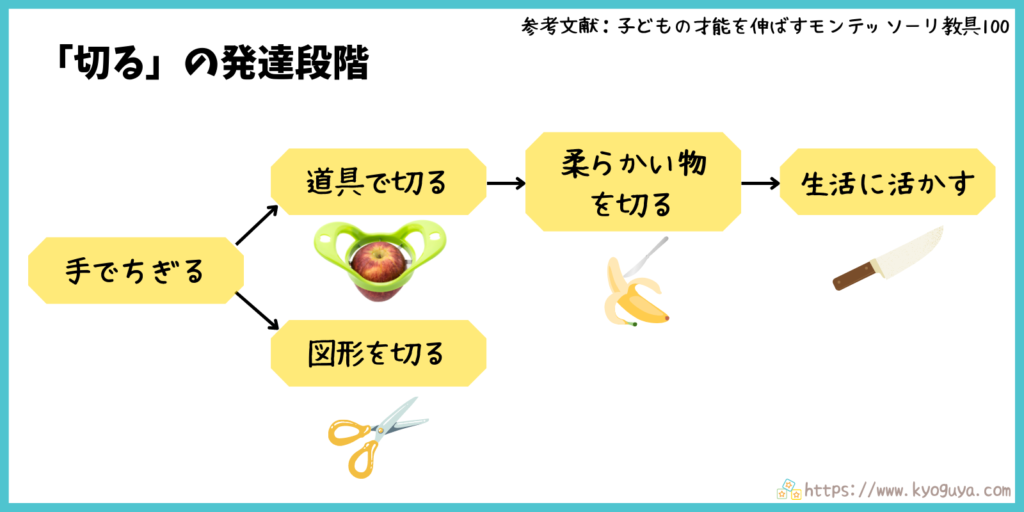 モンテッソーリ教育の「切る」動きの発達