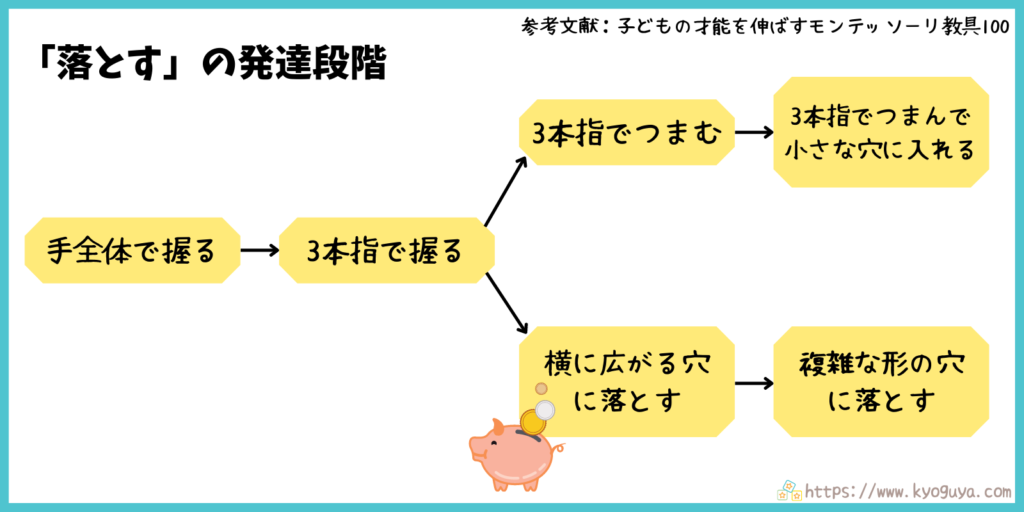 モンテッソーリ教育の「落とす」動きの発達