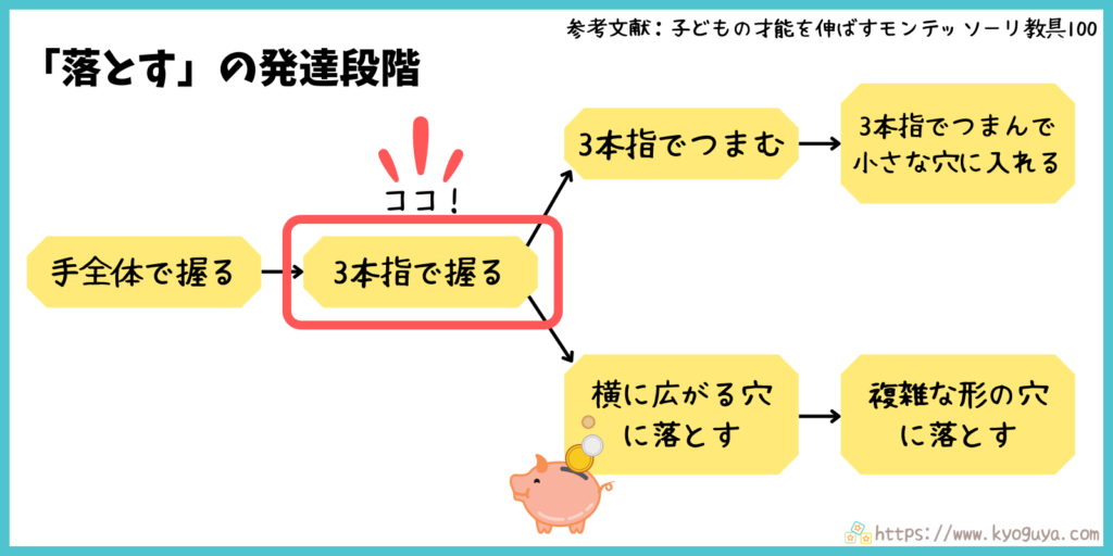 モンテッソーリ教育の「落とす」動きの発達