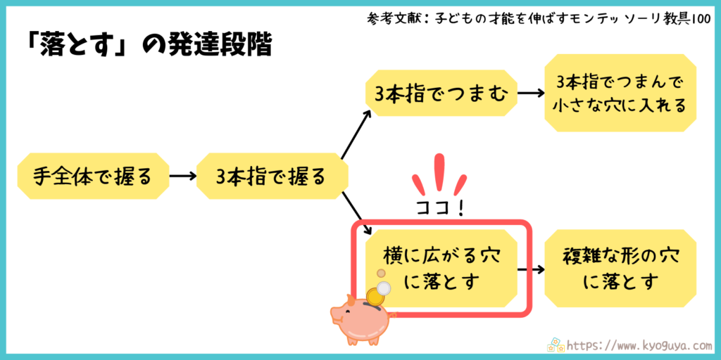 モンテッソーリ教育の「落とす」動きの発達