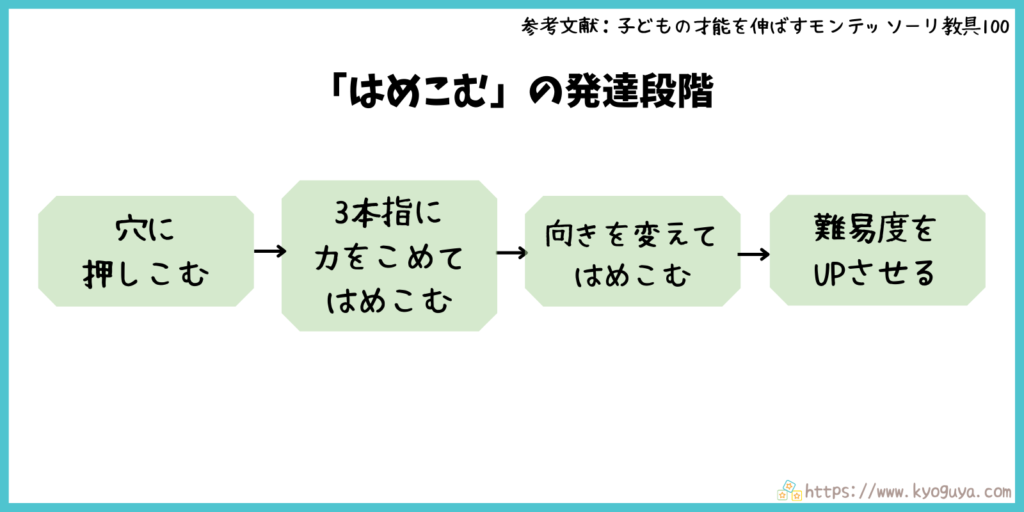 モンテッソーリ教育の「はめ込む」動きの発達