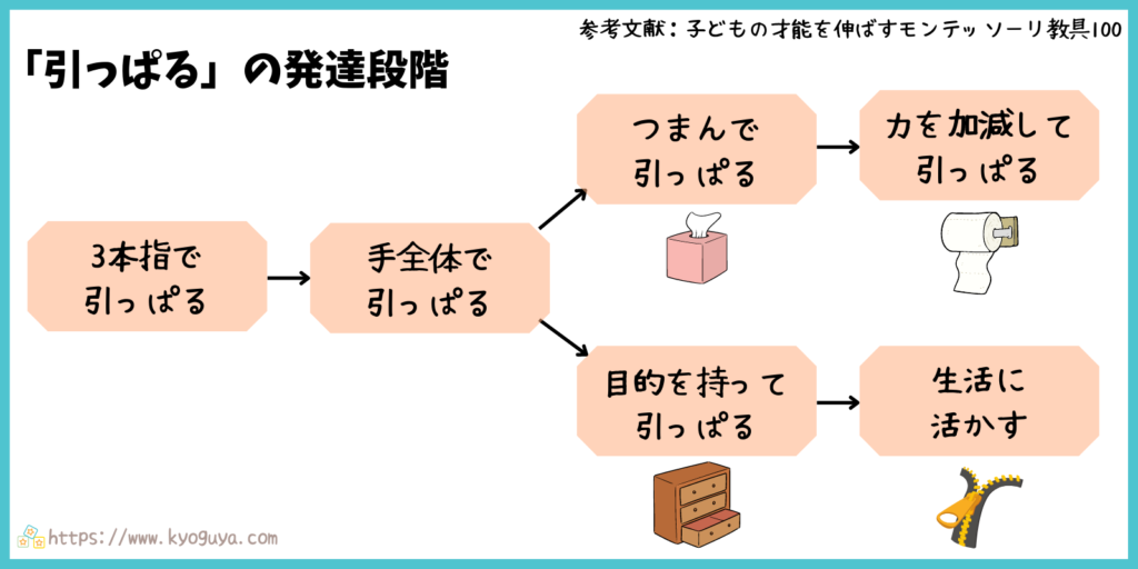 モンテッソーリ教育の「引っぱる」動きの発達