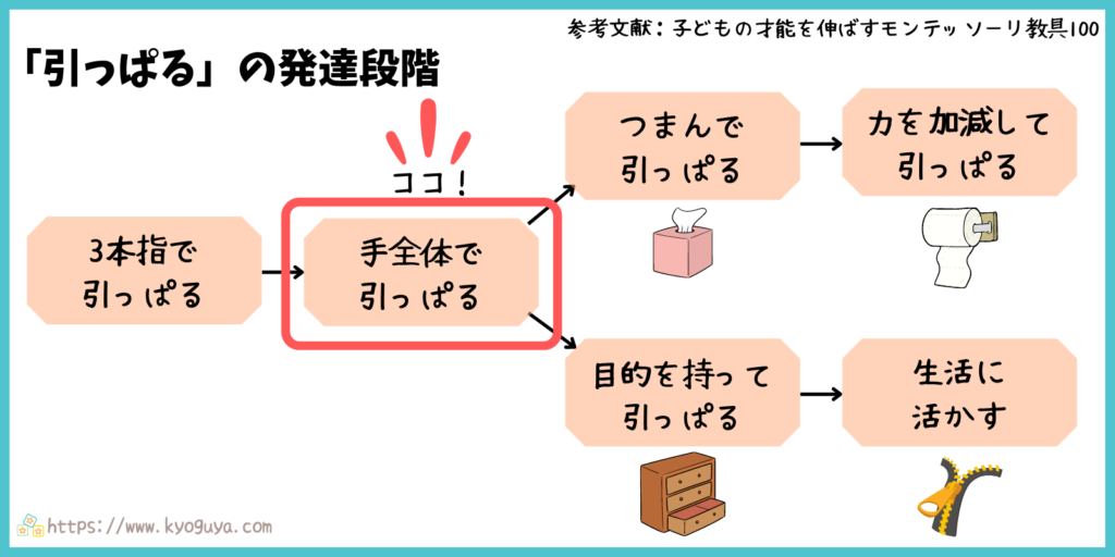 モンテッソーリ教育の「引っぱる」動きの発達