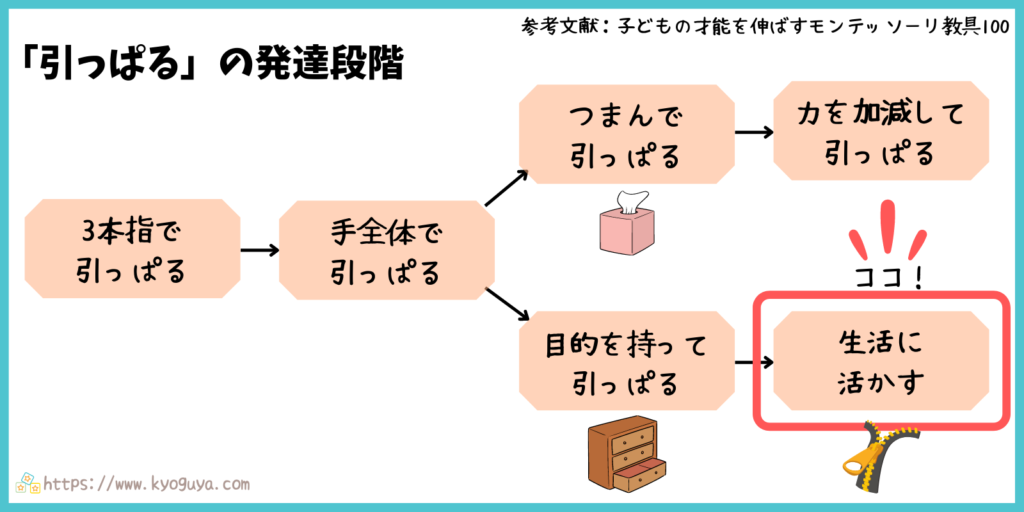 モンテッソーリ教育の「引っぱる」動きの発達