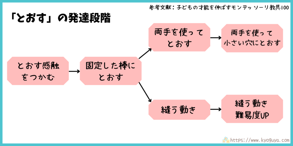 モンテッソーリ教育の「通す」動きの発達