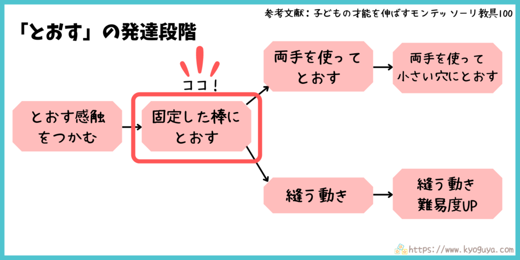 モンテッソーリ教育の「通す」動きの発達