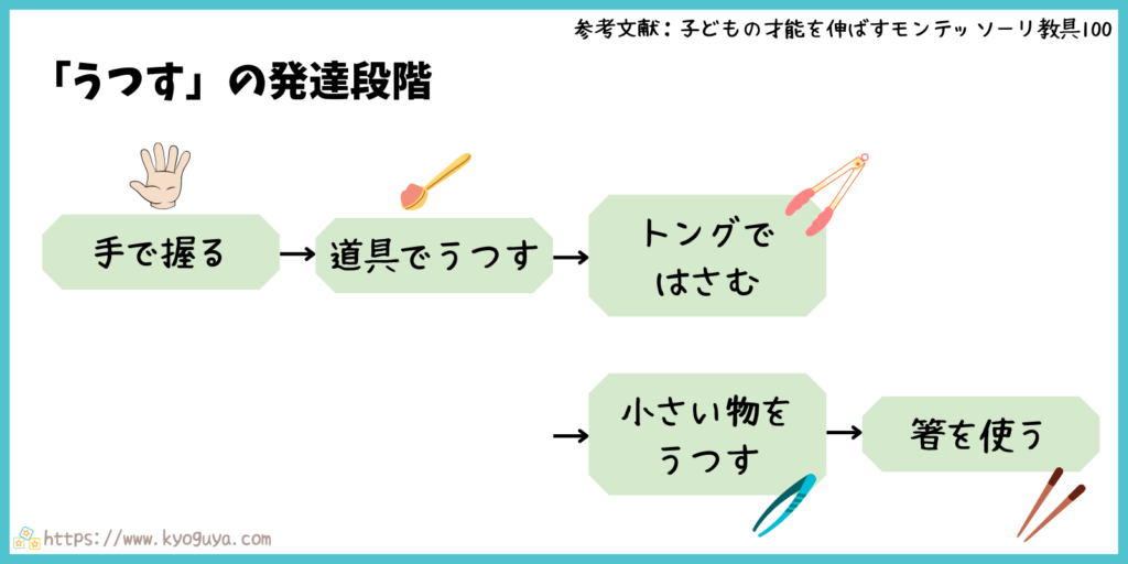 モンテッソーリ教育の「移す」動きの発達