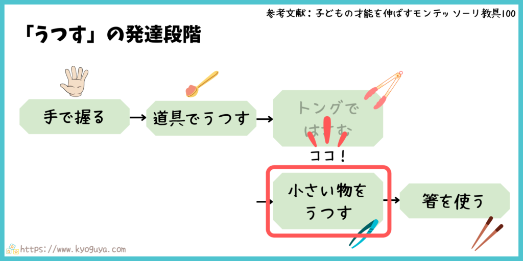 モンテッソーリ教育の「移す」動きの発達